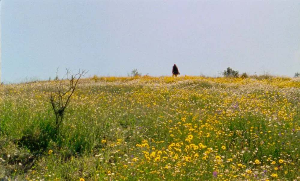 03 MAR | As Estações